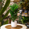 Tropical Monstera Leaf – Faux Plant in White Pot