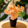 Artificial Orange Eucalyptus Plant in Black Pot