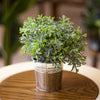 Frosted Green Mini Herb – Faux Plant in Metal Tin