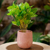 Artificial Green Leaf Plant in Terracotta Pot