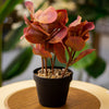 Artificial Red Eucalyptus Plant in Black Pot