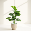 Artificial Philodendron Plant in Geometric Pot