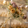 Antique Garden Rose Mix
