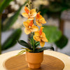 Artificial Yellow Orchid in Terracotta-Style Pot