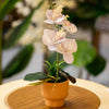 Elegant Artificial Orchid in Terracotta Pot