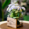 Artificial White & Baby Blue Floral Arrangement in Rustic Wire Basket
