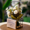 Rustic White Flower Arrangement in Metal & Wood Cage Pot
