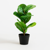 Artificial Banana Leaf Plant
