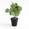 Artificial Round Leaf Eucalyptus