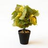 Faux Autumn Maple Leaf Plant in Black Pot