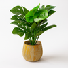 Artificial Monstera Deliciosa