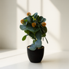 Golden Bloom Eucalyptus – Faux Botanical in Matte Black Pot
