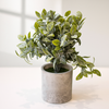 Frosted Leaf Eucalyptus – Artificial Plant in Concrete-Style Pot