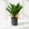 Tropical Faux Staghorn Fern in Black Speckled Pot