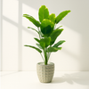Artificial Bird of Paradise in Geometric Beige Pot