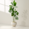Calathea Artificial Plant in Elegant White Pot