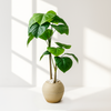 Artificial Heartleaf Philodendron in Beige Round Pot