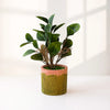 Modern Green Accent – Faux Potted Plant with Artistic Pot