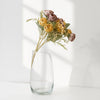Antique Garden Rose Mix