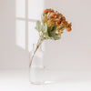 Rustic Amber Harvest Spray