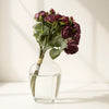 Velvet Plum Ranunculus Bouquet