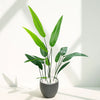 Artificial Bird of Paradise Plant in Dark Pot