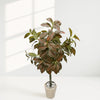 Artificial Red Nerve Plant in Modern Pot
