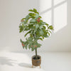 Artificial Calathea Plant with Pink Accents
