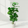 Artificial Dieffenbachia Plant in White Pot