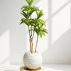 Variegated Dracaena Artificial Plant in White Textured Pot