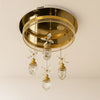 Crystal Drop Ceiling Light – Floral Accent Design