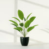Artificial Green Leaf Plant in Black Textured Pot