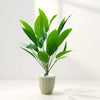 Artificial Green Bird of Paradise in Beige Textured Pot