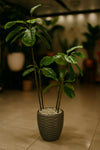 Artificial Fiddle Leaf Plant in Textured Dark Pot