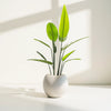 Artificial Tropical Plant in White Ribbed Pot