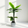 Artificial Banana Tree in Ribbed White Pot