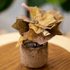 Artificial Rustic Brown Leaf Plant in Textured Pot