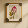 Vintage Tulip Botanical Wall Art