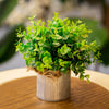 Artificial Eucalyptus-Style Plant in Rustic Metal Pot