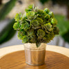 Artificial Succulent Bouquet in Silver Tin Pot