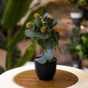 Golden Bloom Eucalyptus – Faux Botanical in Matte Black Pot
