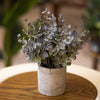 Dusty Silver Dollar Eucalyptus – Faux Plant in Stone Pot