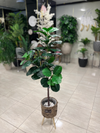 Artificial Fiddle Leaf Plant in Woven Basket Pot