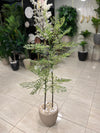Elegant Fern-Leaf Artificial Tree