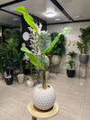 Tropical Banana Leaf Artificial Plant in White Textured Pot