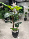 Artificial Alocasia Plant in Decorative Black Pot