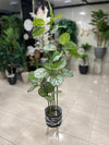 Green Harmony Artificial Pilea Plant