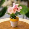 Mini Artificial Pink Orchid