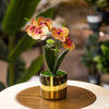 Golden Orchid Elegance – Artificial Flower Arrangement