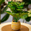 Artificial Calathea Plant
